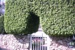 PICT0068.JPG