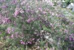 PICT0070.JPG