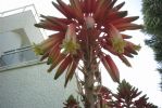 PICT0073.JPG