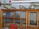 DSCN2938--01.jpg