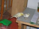 DSCN2945--02.jpg