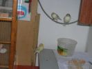DSCN2948--02.jpg