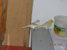 DSCN2950--02.jpg