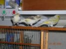 DSCN2967--02.jpg