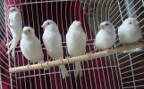 DSC05491.JPG