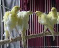 DSC05552.JPG