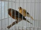 Файл=IMG_7479.JPG
Объём=30КБ
Размеры=533x400
Дата=Май 28, 2007 IMG_7479.JPG