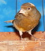 DSCN0382.jpg