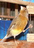 DSCN0384.jpg