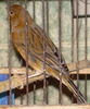 DSCN0394.jpg