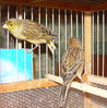 DSCN0402.jpg