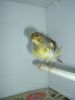 DSCF2563.JPG
