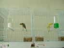 DSCF2573.JPG