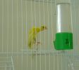 DSCF2575.JPG