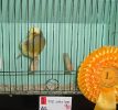 DSCF2613.JPG