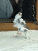 파일명=Picture 074.jpg
파일크기=16KB
너비,높이=300x400
등록일=10월 25, 2005 Picture 074.jpg
