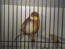 DSC00656.JPG