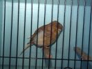 DSC00666.JPG