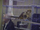 DSC00778.JPG