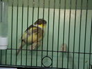 DSC00782.JPG