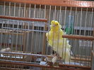 DSC00783.JPG
