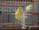 DSC00784.JPG