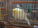 DSC00787.JPG