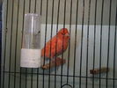 DSC00790.JPG