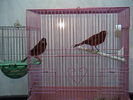 DSC00799.JPG