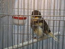 DSC00808.JPG