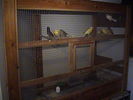 Bestandsnaam : DSC00821.JPG
Bestandsgrootte : 56KB
Afmetingen : 533x400
Datum toegevoegd : 20 dec 2006 DSC00821.JPG