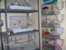 Fitxategia=IM000303_изменить размер.JPG
Tamaina=44KB
Neurriak=533x400
Igotze data=2006(e)ko Ots(a)ren 08(e)an IM000303_изменить размер.JPG