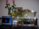 DSCN2250.JPG