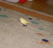 DSCN2259.JPG