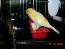DSCN2270.JPG