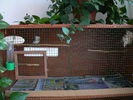 P1000083.JPG