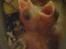 DSC01163.JPG