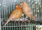 82IMG_2513.jpg