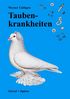 taubenkrankheiten.jpg