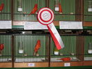 Файл=111_Vogelausstellung_002.JPG
Объём=75КБ
Размеры=533x400
Дата=Дек 10, 2006 111_Vogelausstellung_002.JPG