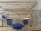 DSC00148.JPG