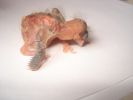 DSC03073.JPG