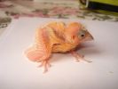 DSC03077.JPG