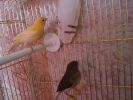 DSC03966.JPG