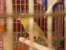 DSC03992.JPG