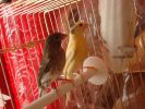 DSC03993.JPG