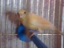 DSC04014.JPG