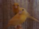 DSC04020.JPG