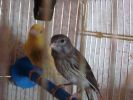 DSC04031.JPG