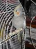 DSC06462.JPG